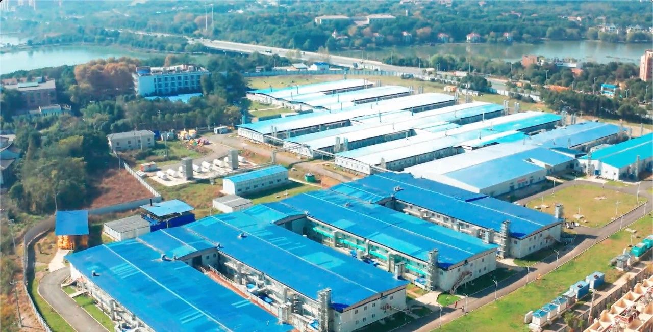 1611740656299452iKYx.jpg 1611740656299452iKYx.jpg